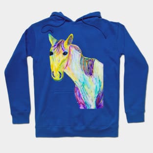 Horse of different color. Hoodie